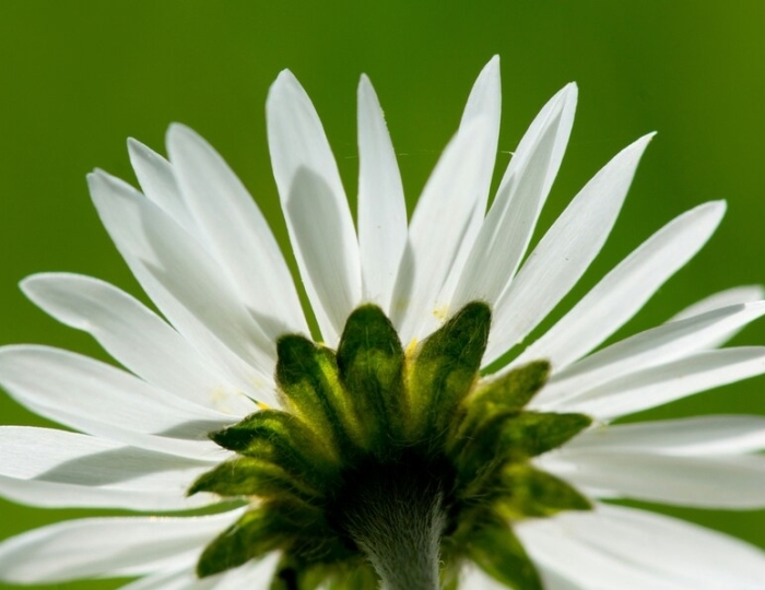 Программа «Общетерапевтическая (многопрофильная) (детская)» - Санаторий «им. Анджиевского» Ессентуки